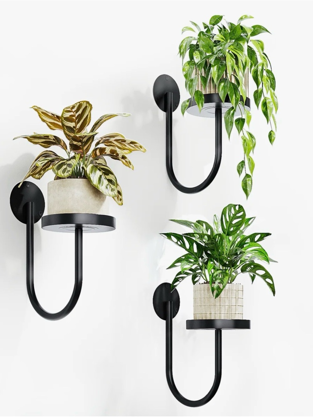 Amazon Black Wall Plant Holders - Set of 3 U-Shaped Shelves